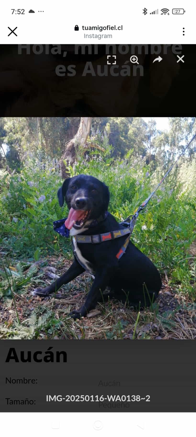 Foto de Hank