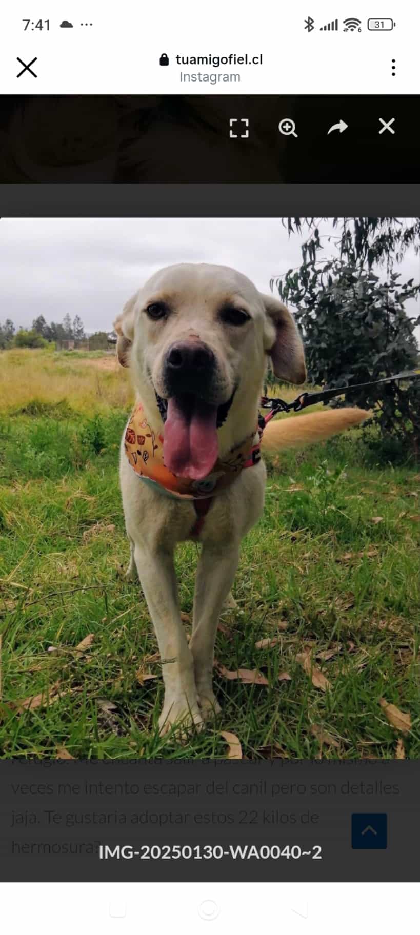 Foto de Blanquito