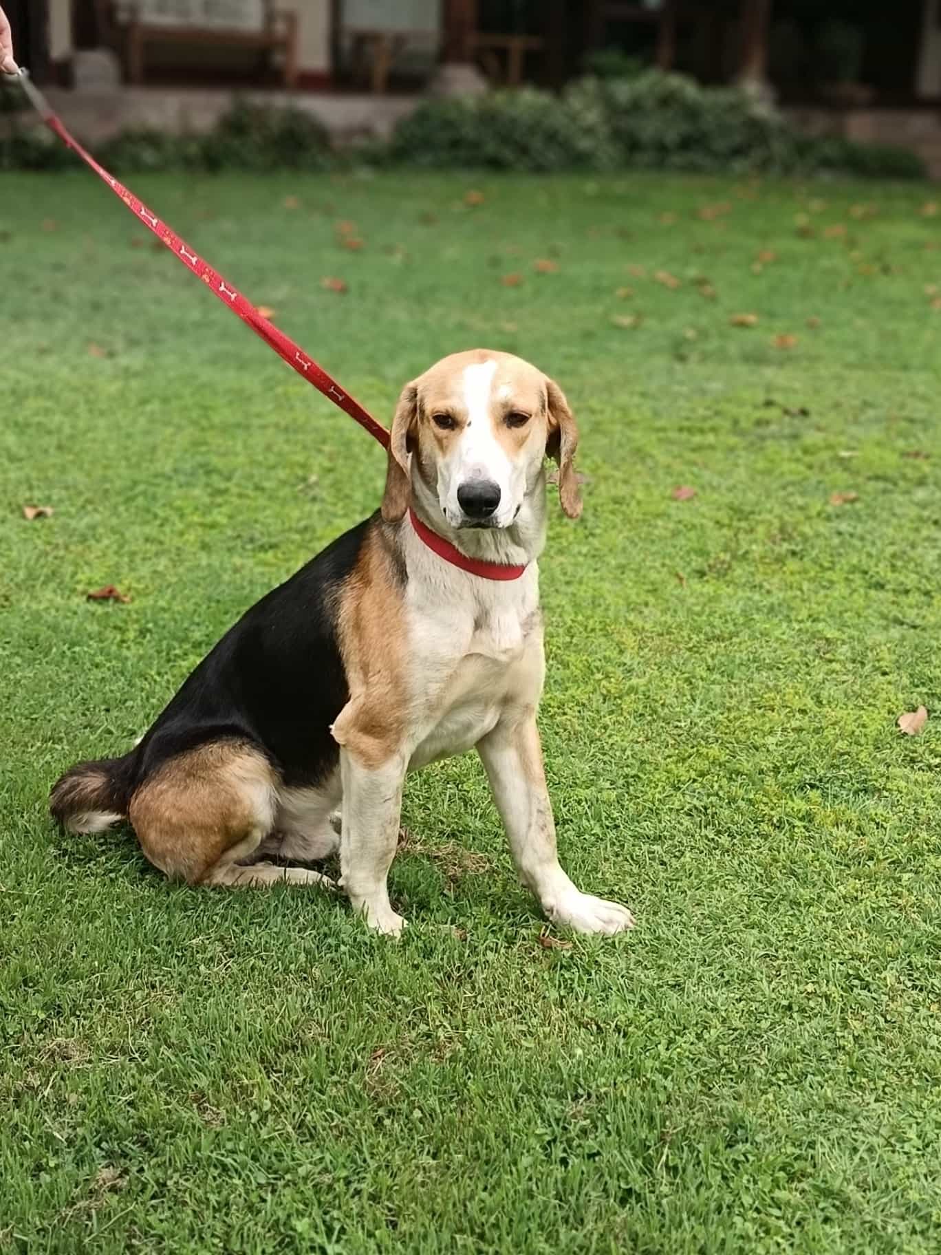 Foto de Wilson León