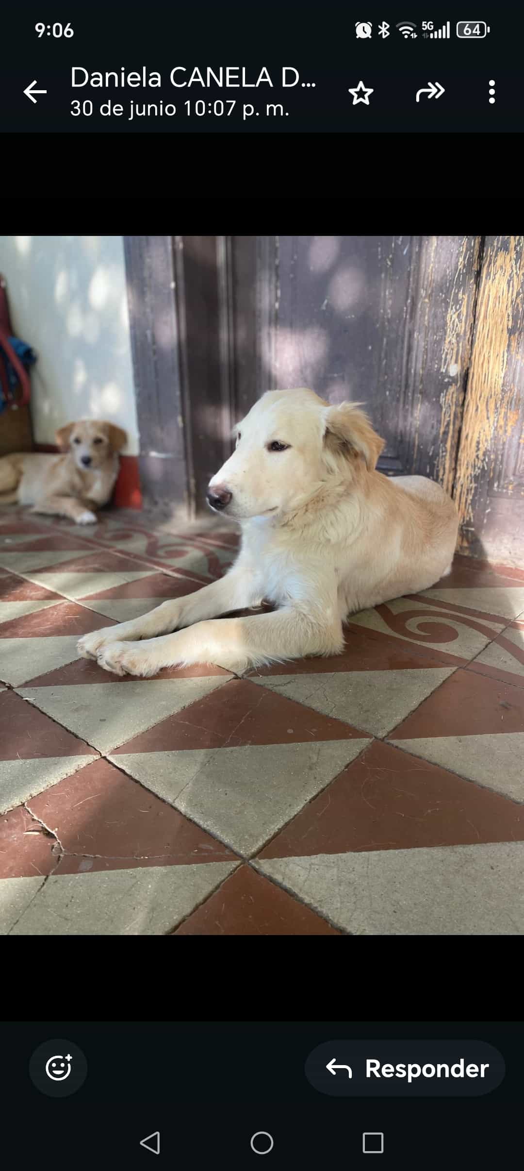 Foto de HUGO Richard Gere