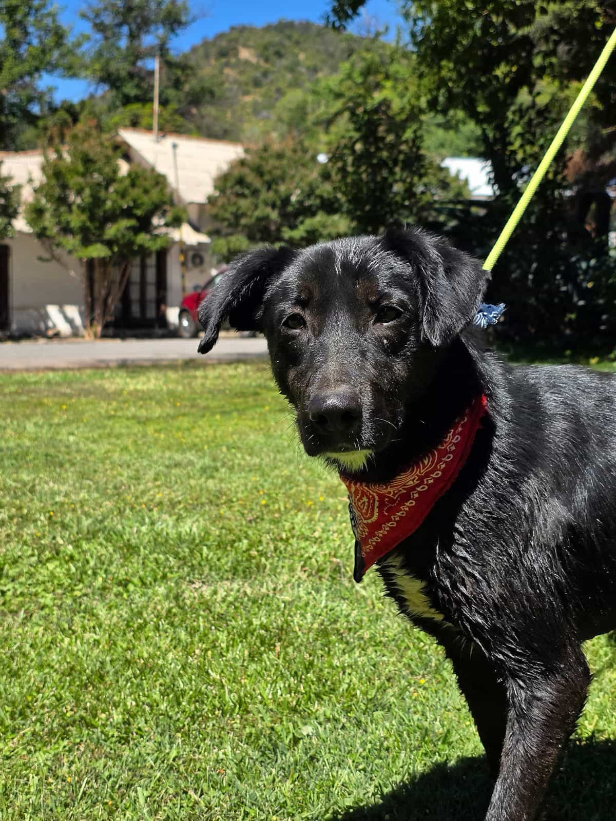 Foto de MALVA del Sol