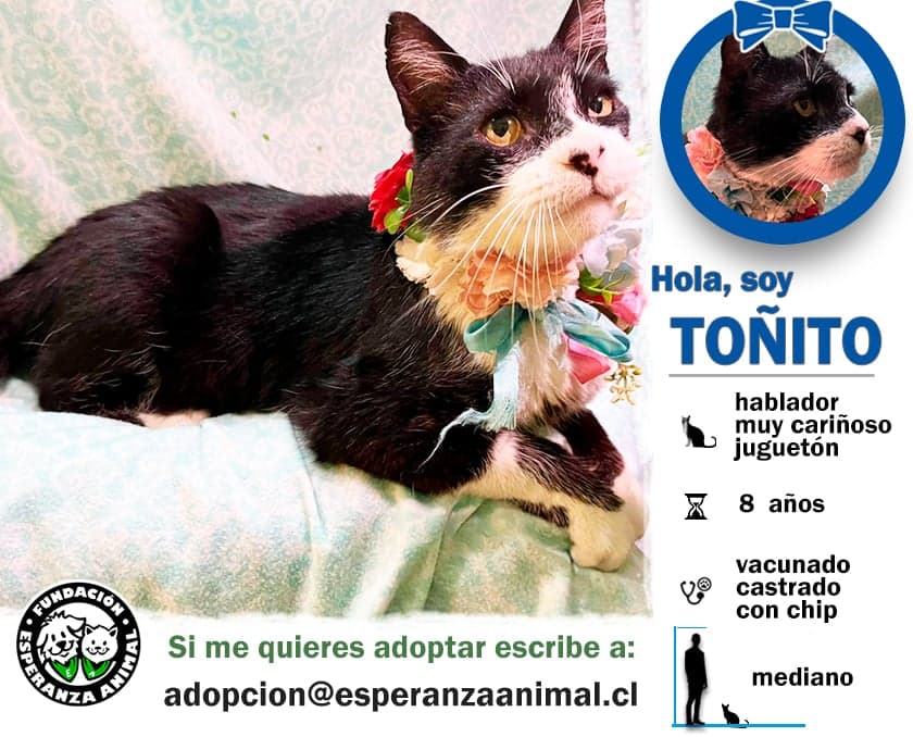 Foto 4
