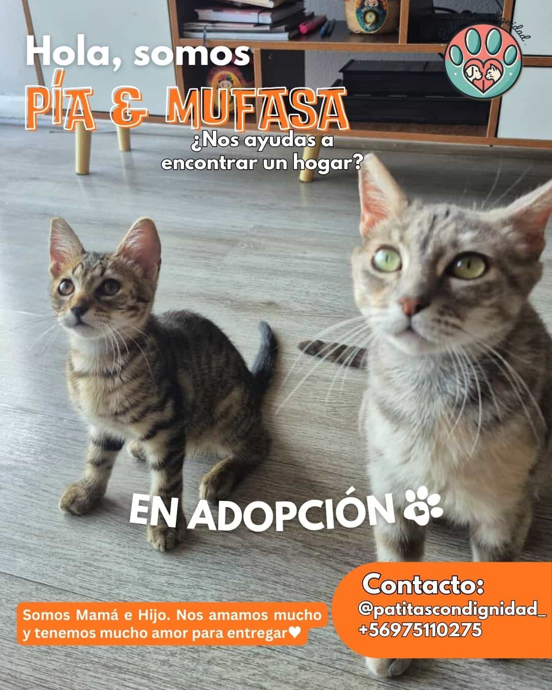 Foto de Pia y Mufasa