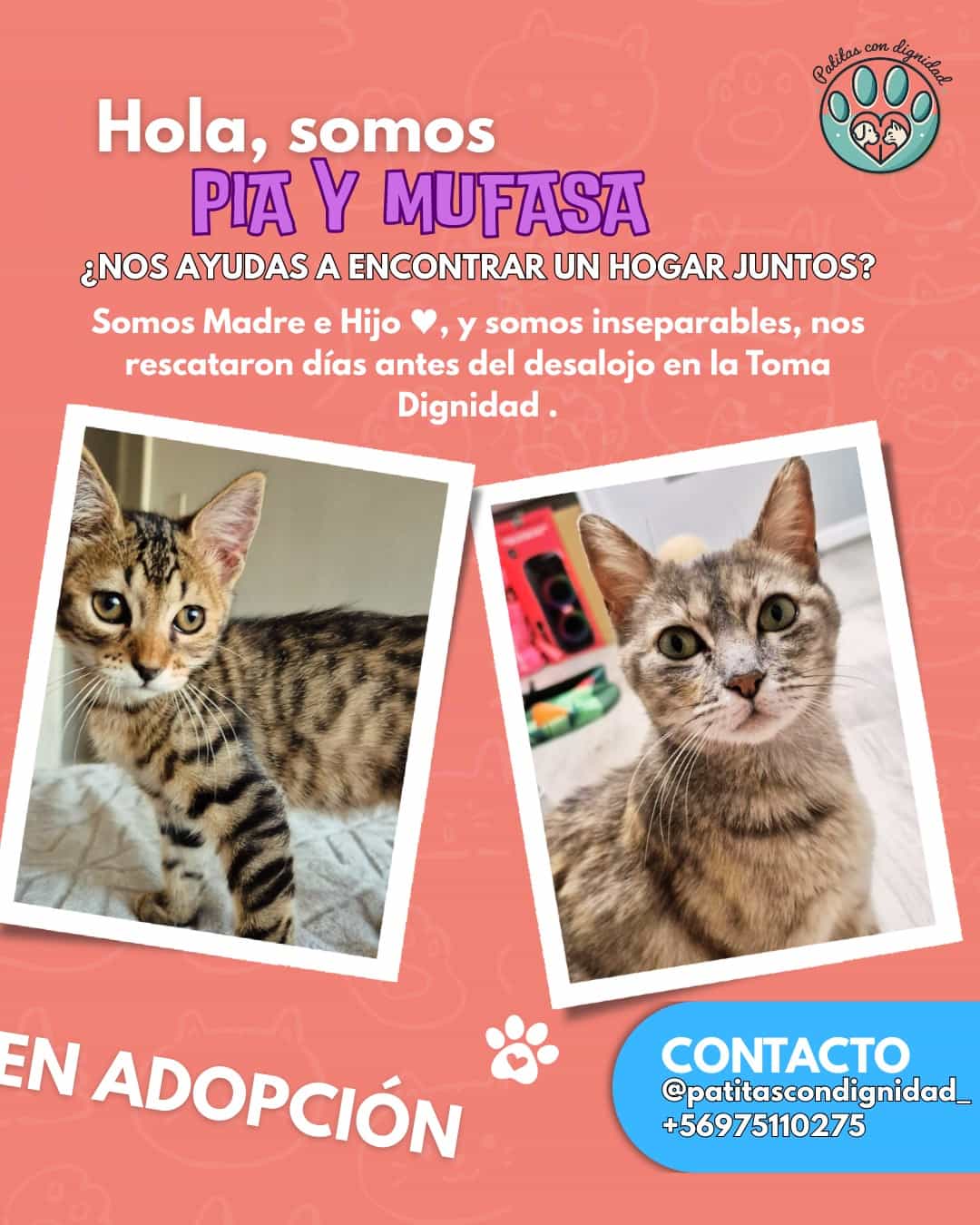 Foto de Pia y Mufasa