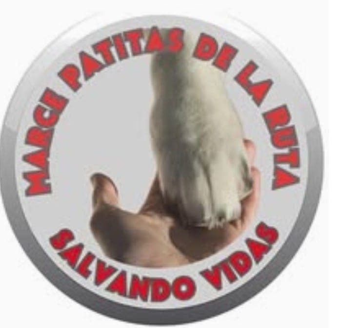 Patitas de la Ruta