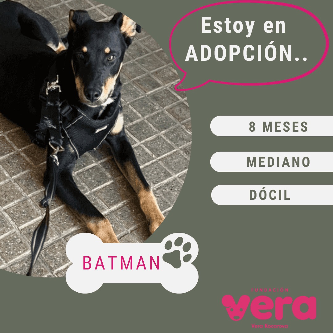 Foto de Batman