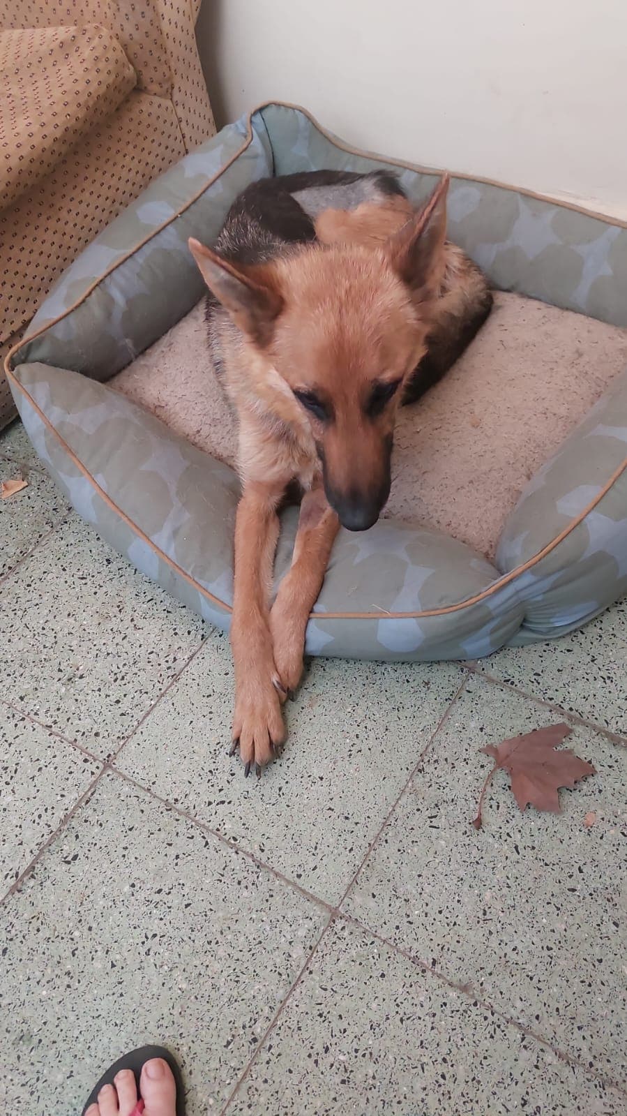 Foto 4
