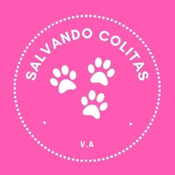 Salvando Colitas