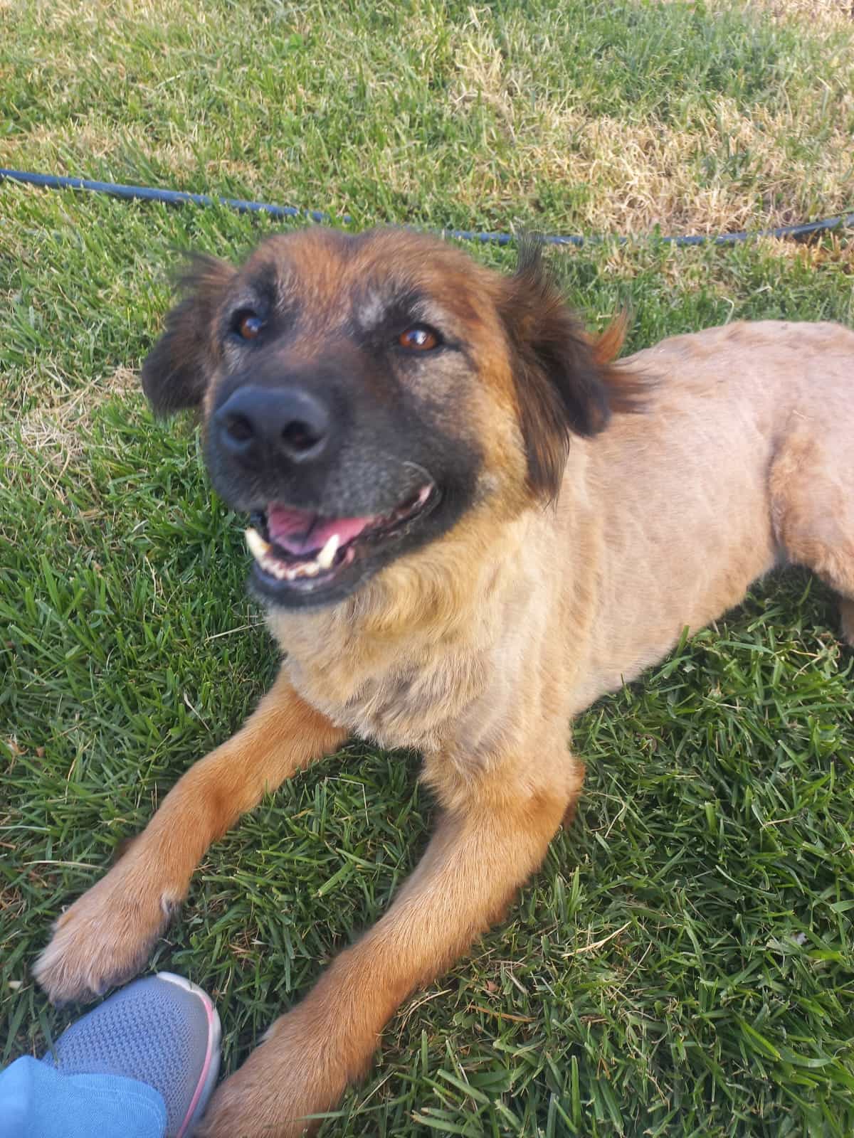 Foto de Osita
