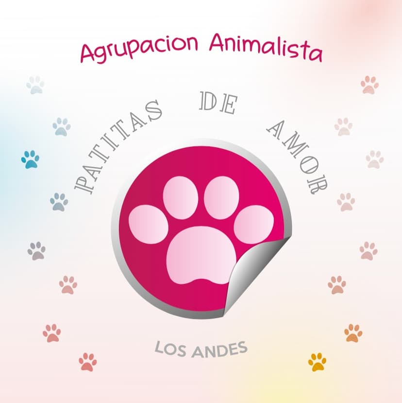Patitas de Amor