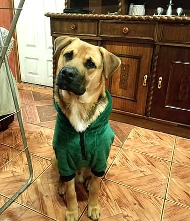 Foto 5