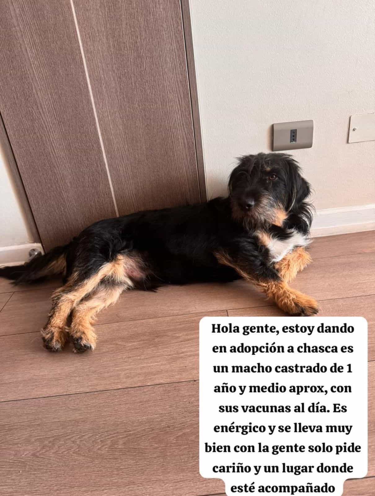 Foto de Chascas