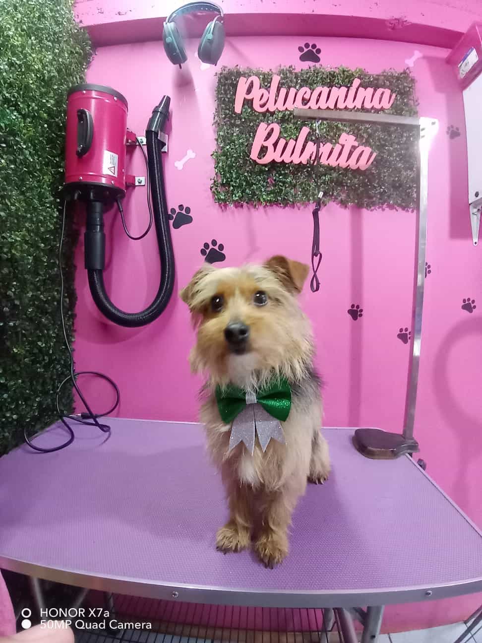 Foto de Taffi