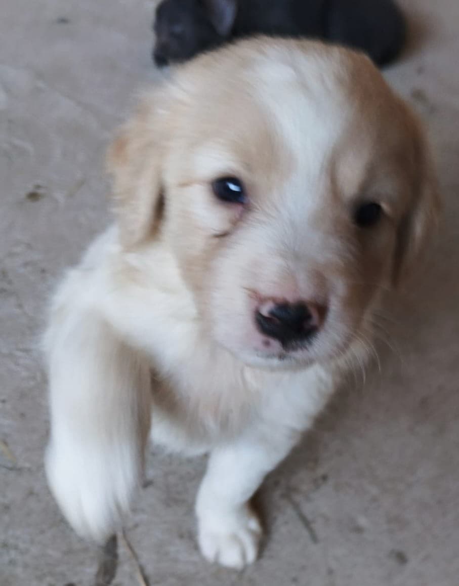 Foto 4