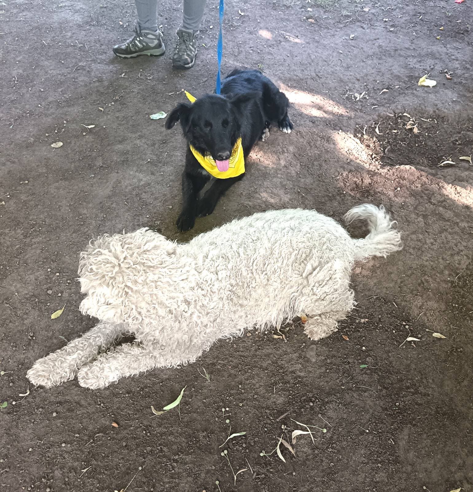 Foto 4