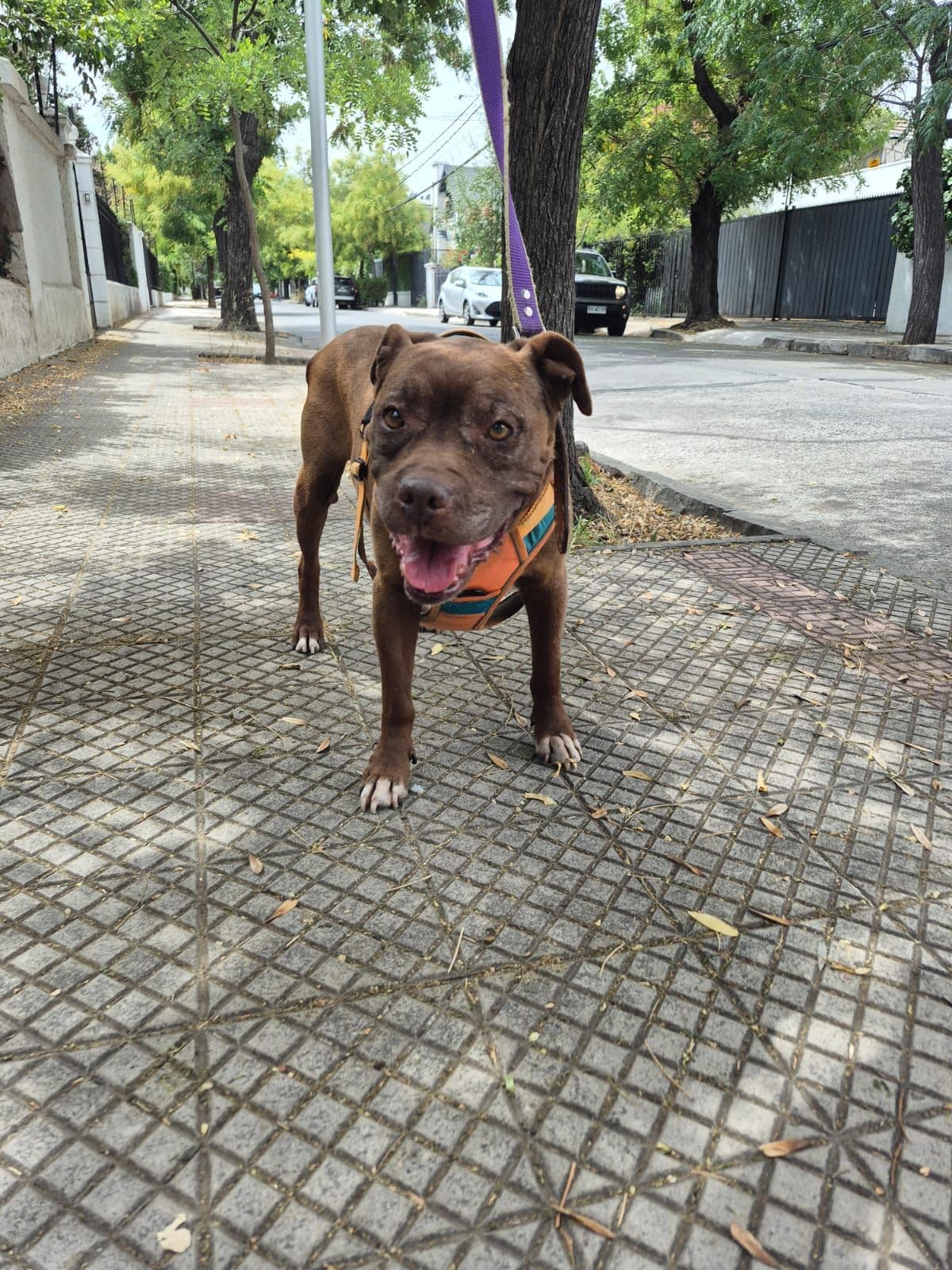 Foto 4