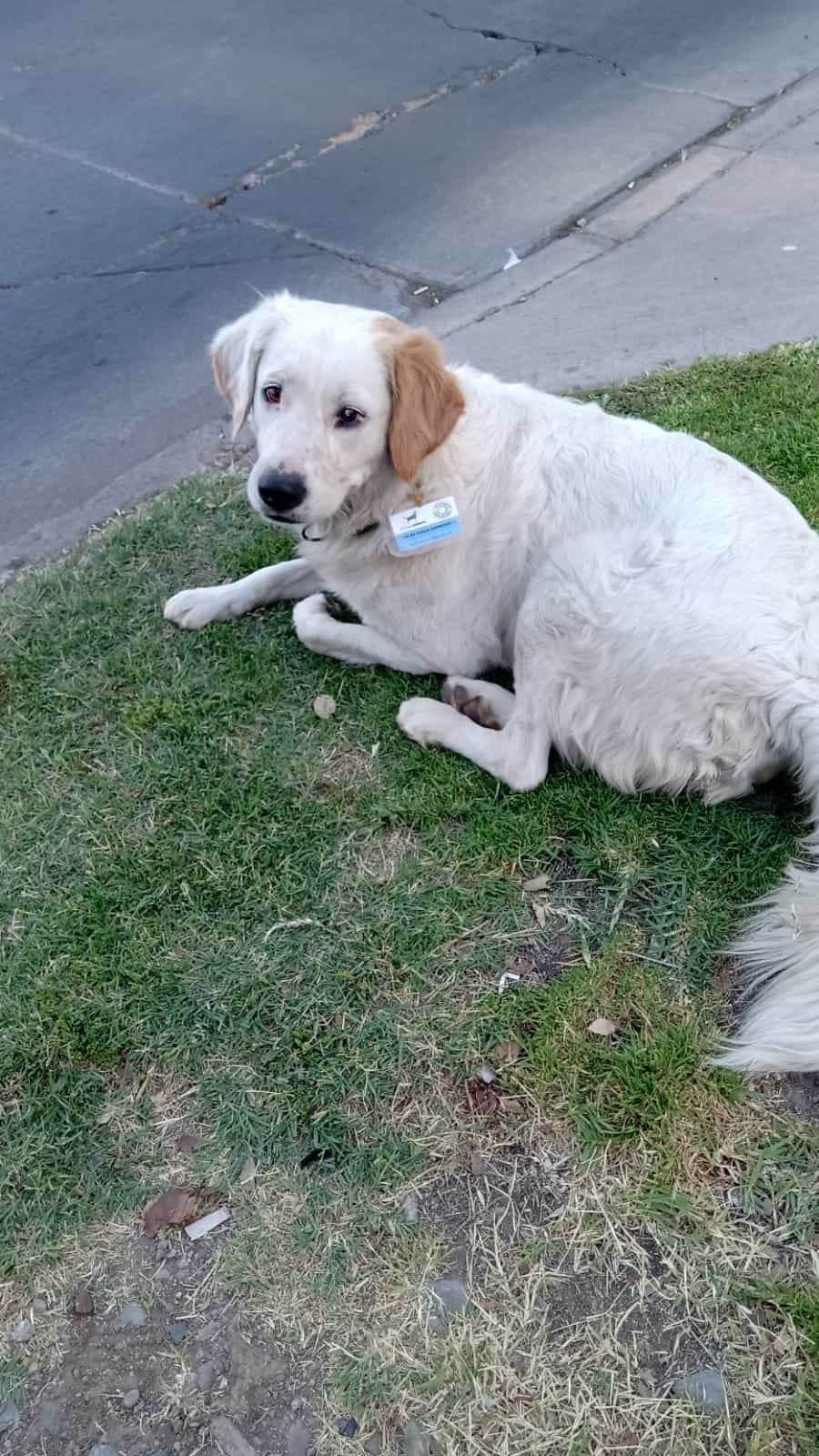 Foto de Blue