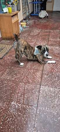 Foto 1
