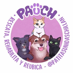 Patitas Unidas Chillán