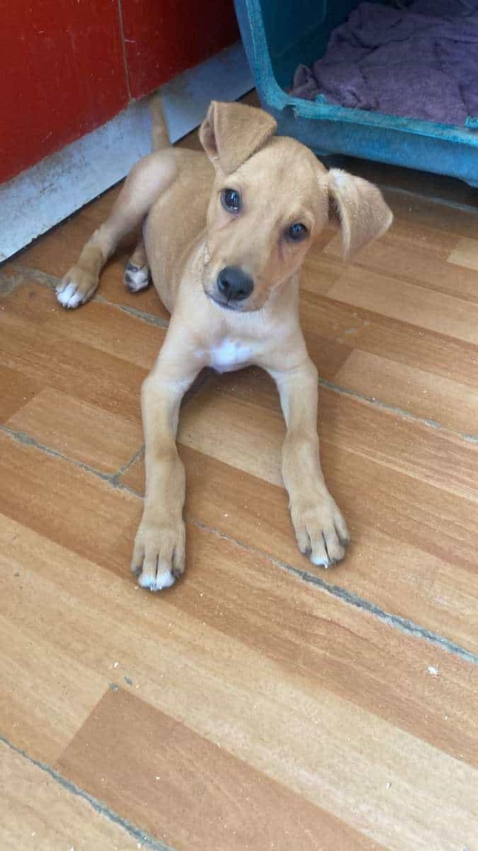 Foto de Brunito