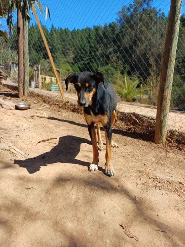 Foto 6