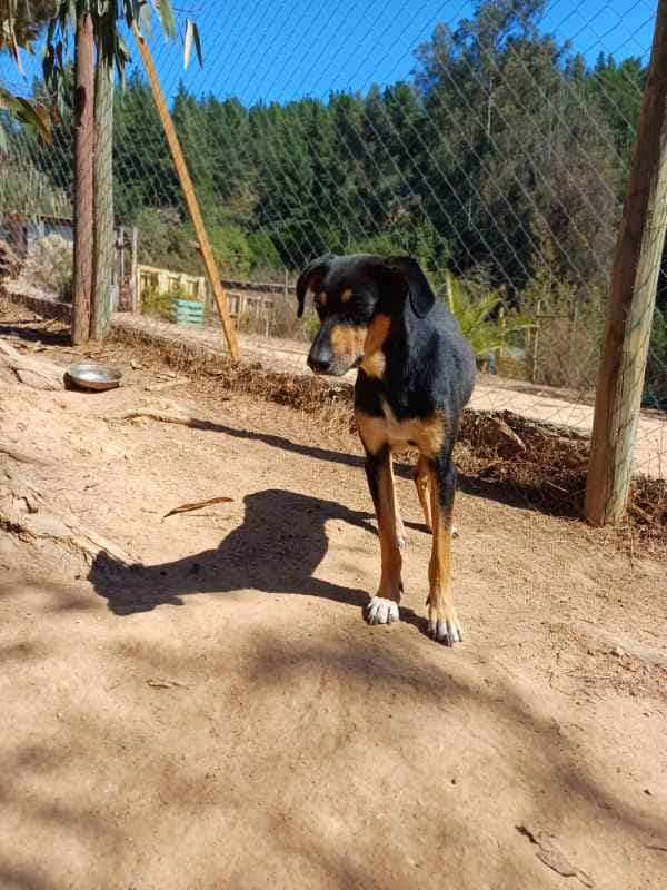 Foto 5