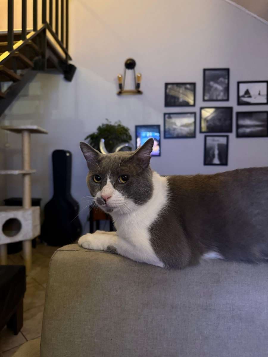 Foto 1