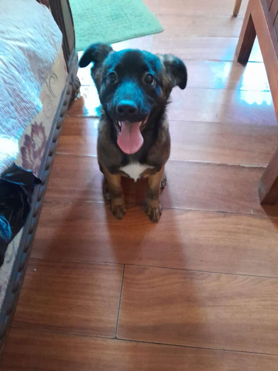 Foto 4