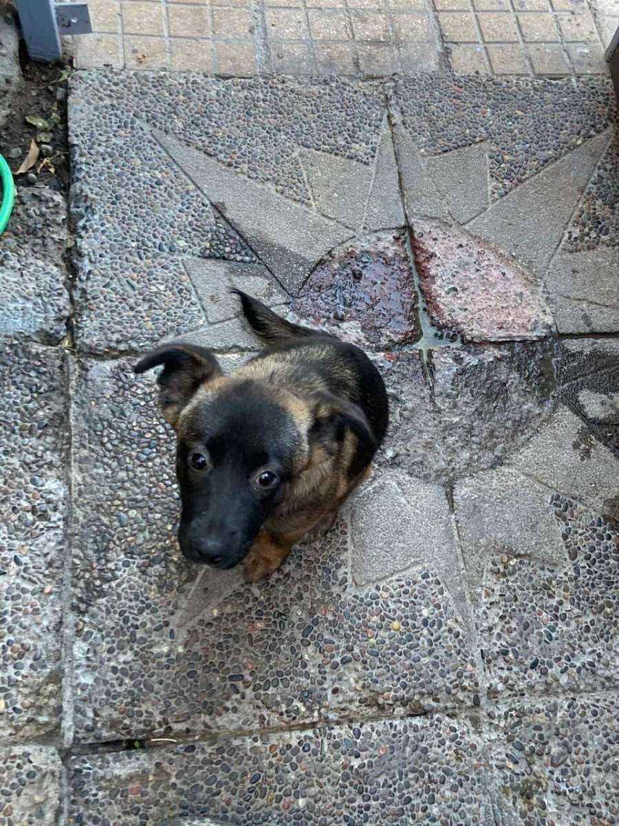 Foto 5