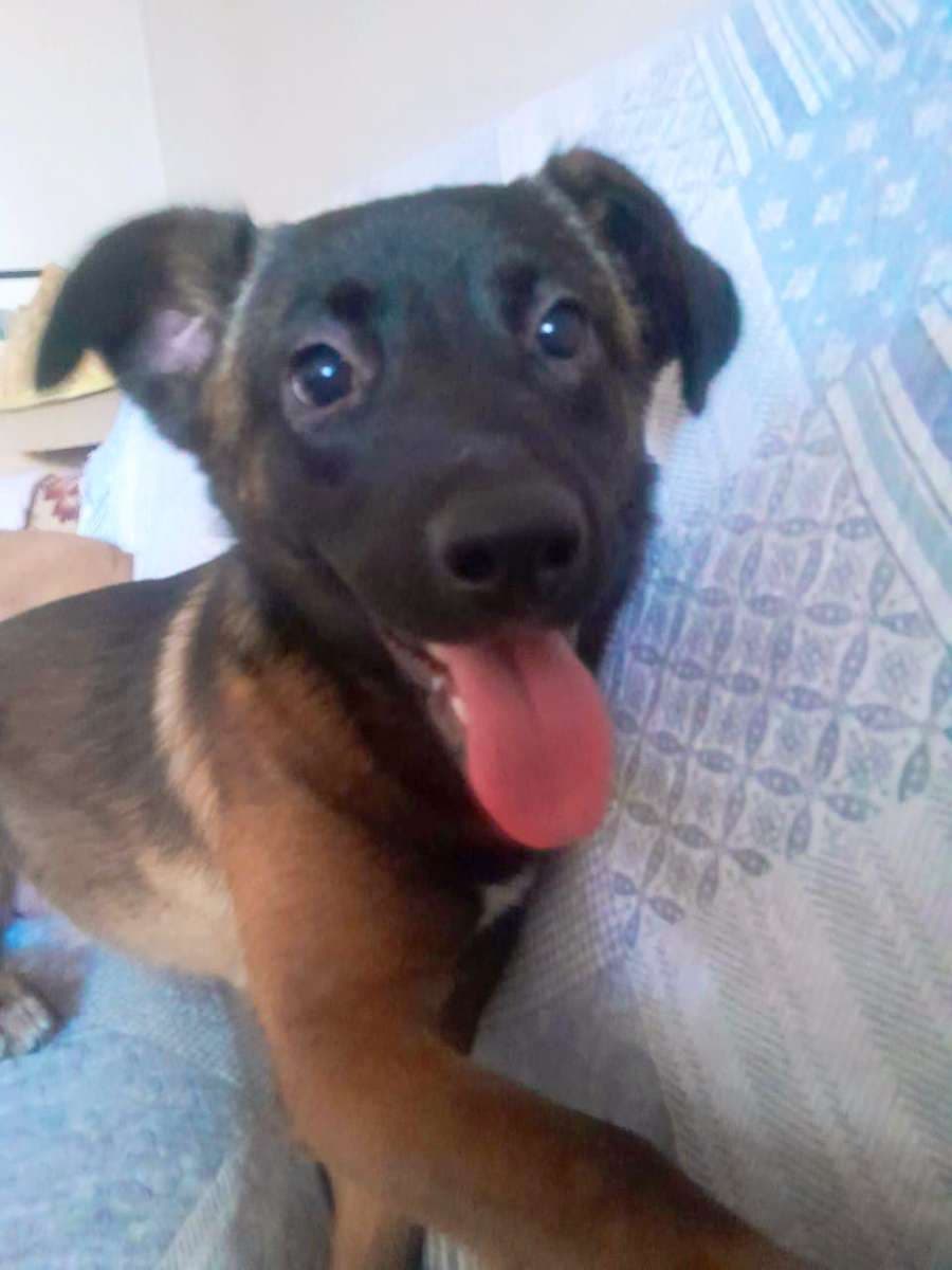 Foto 5