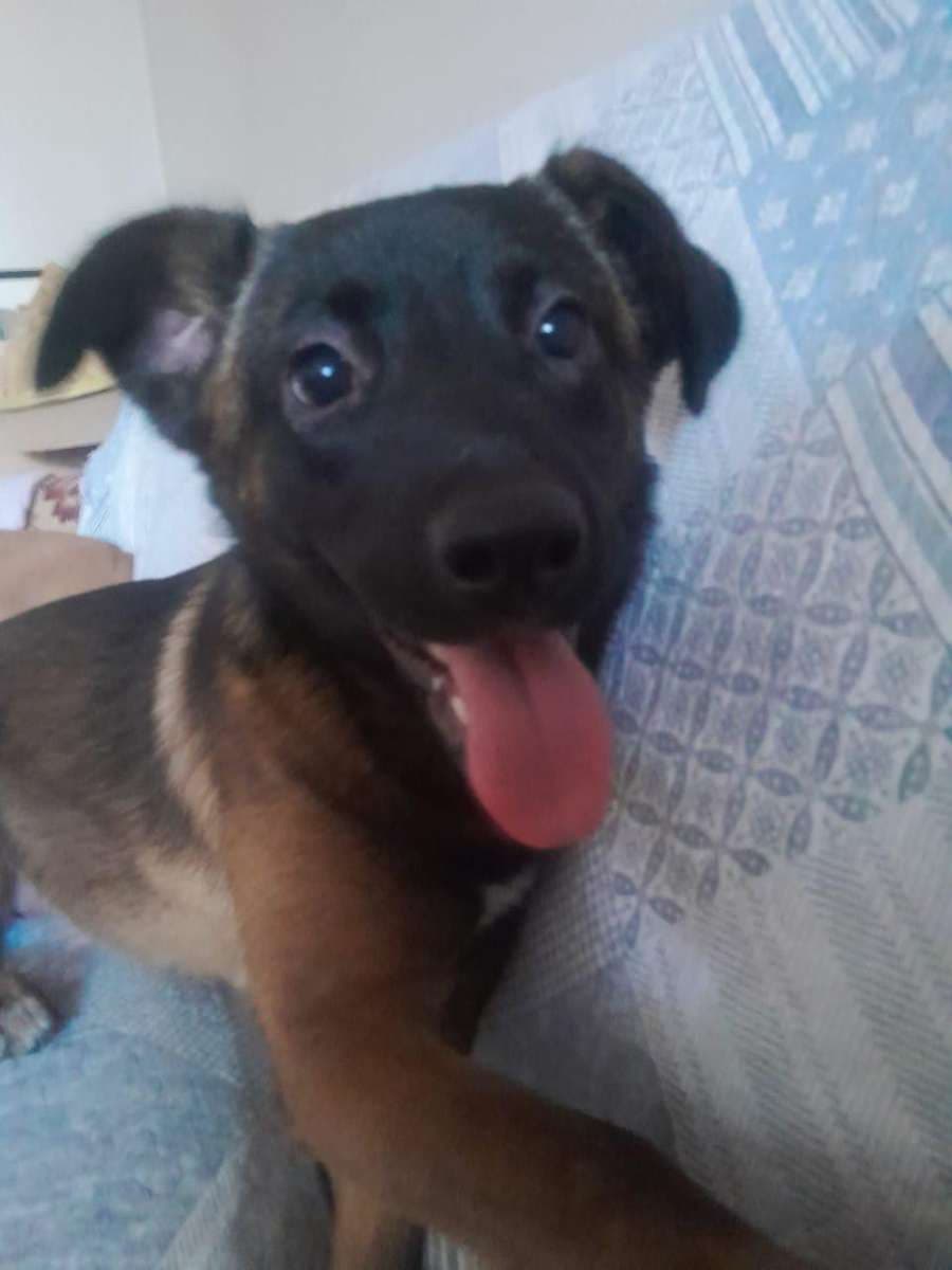 Foto 4