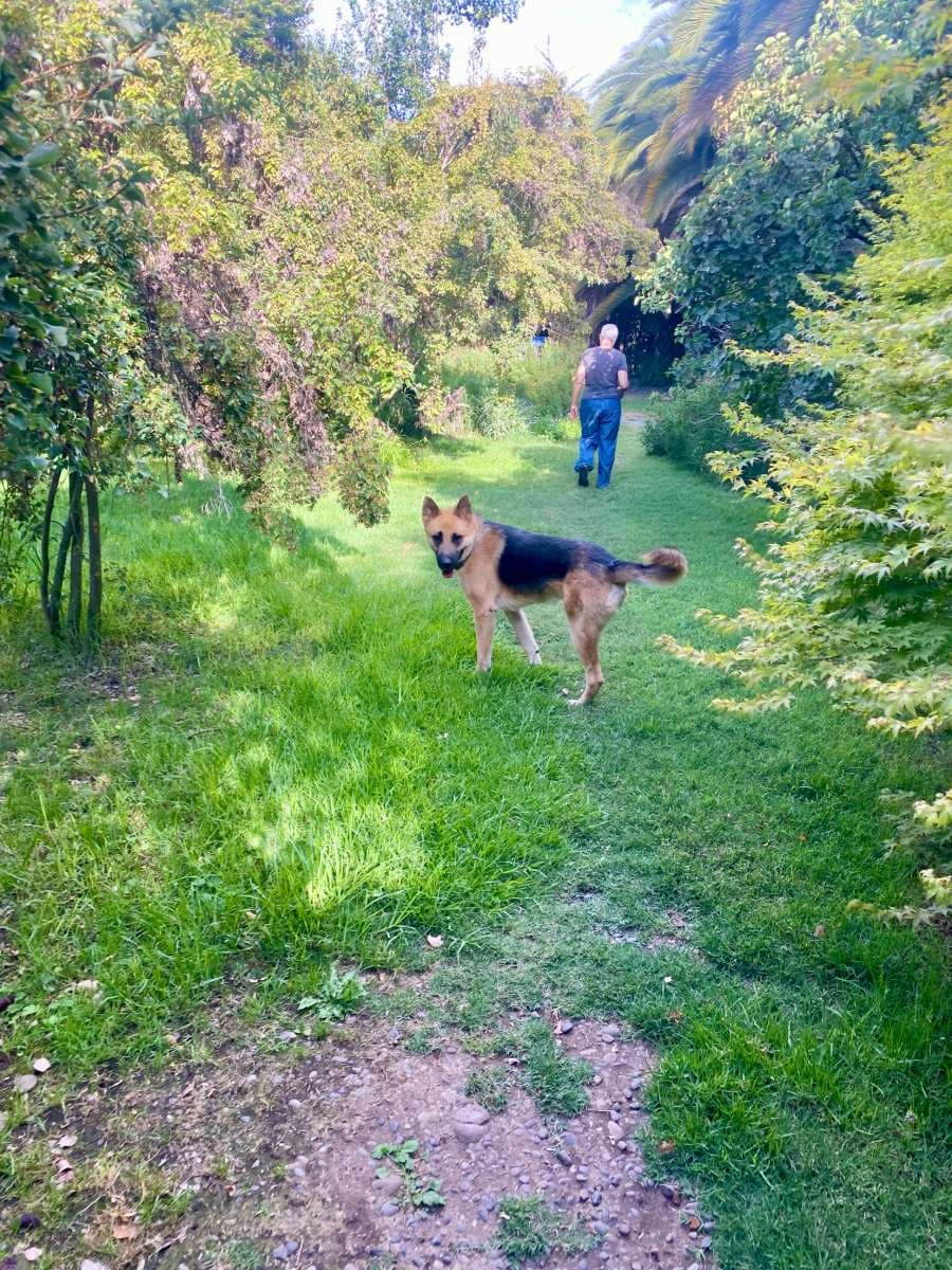 Foto 11