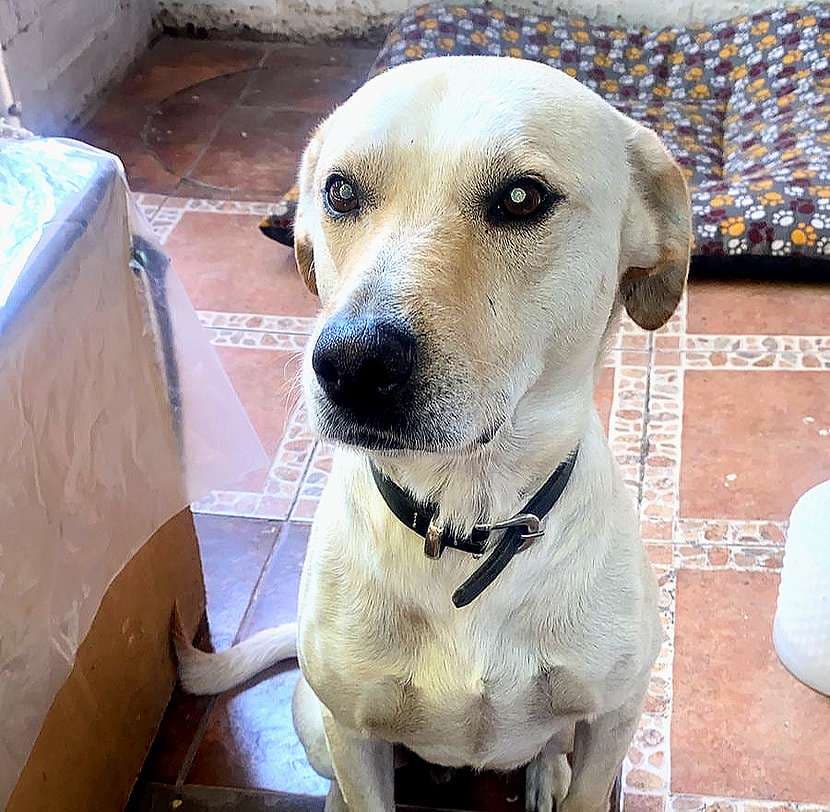 Foto 4