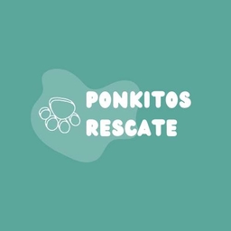 Ponkitos Rescate