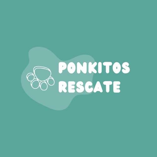 Ponkitos Rescate