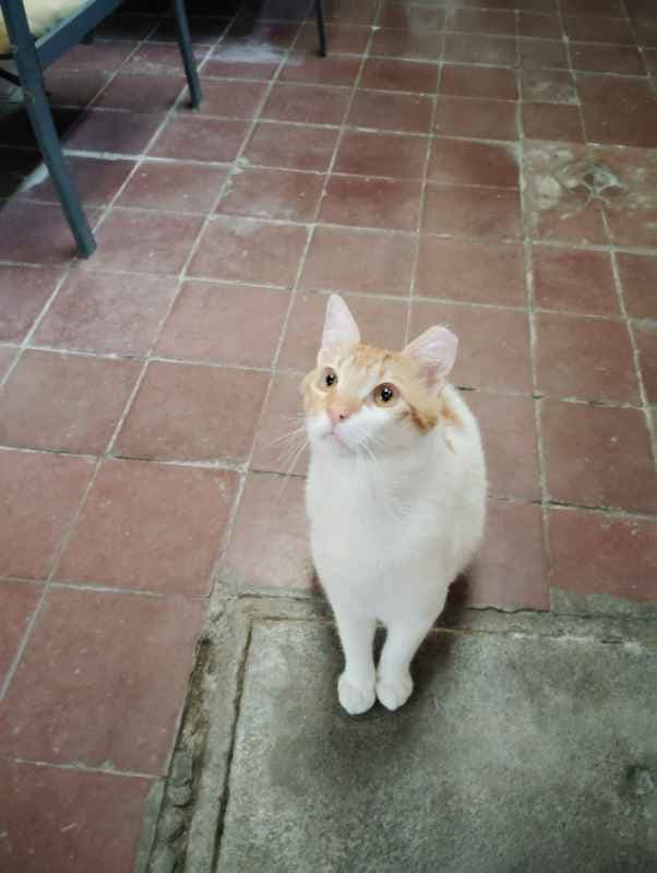 Foto 7