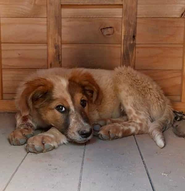Foto de Moka