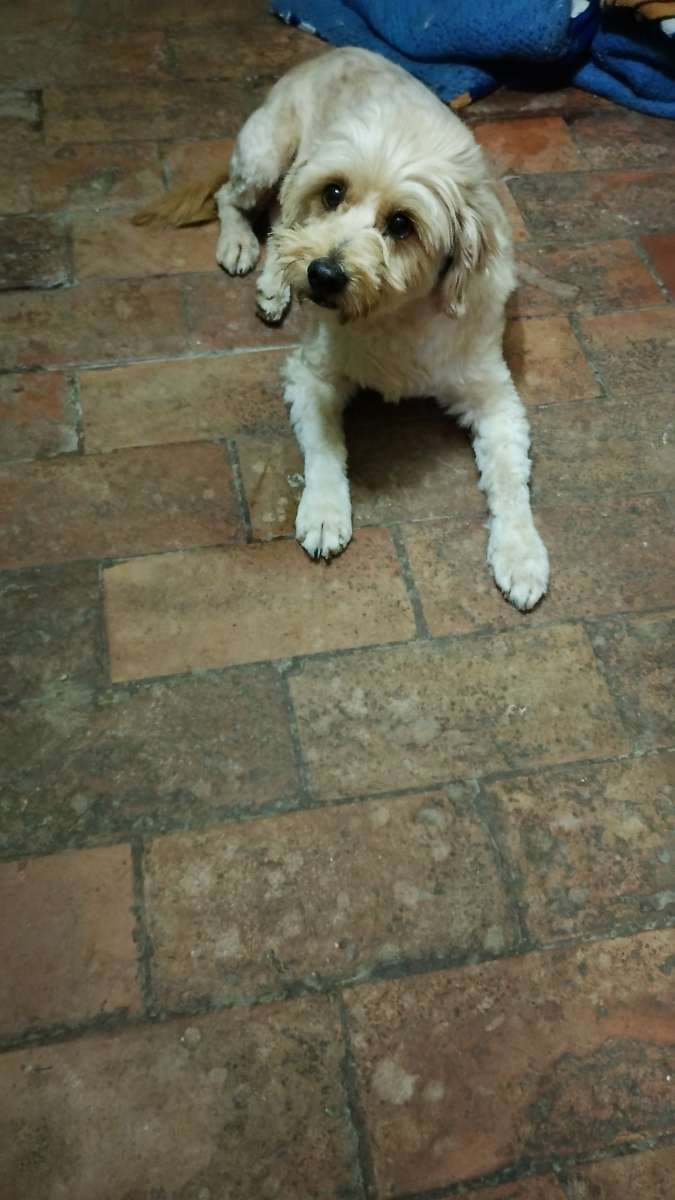 Foto 4