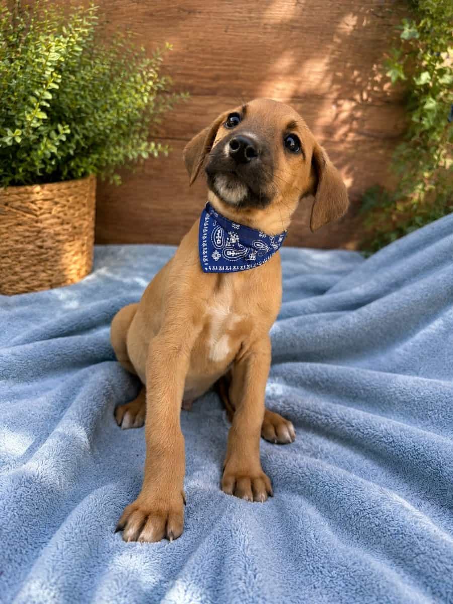 Foto de Ben