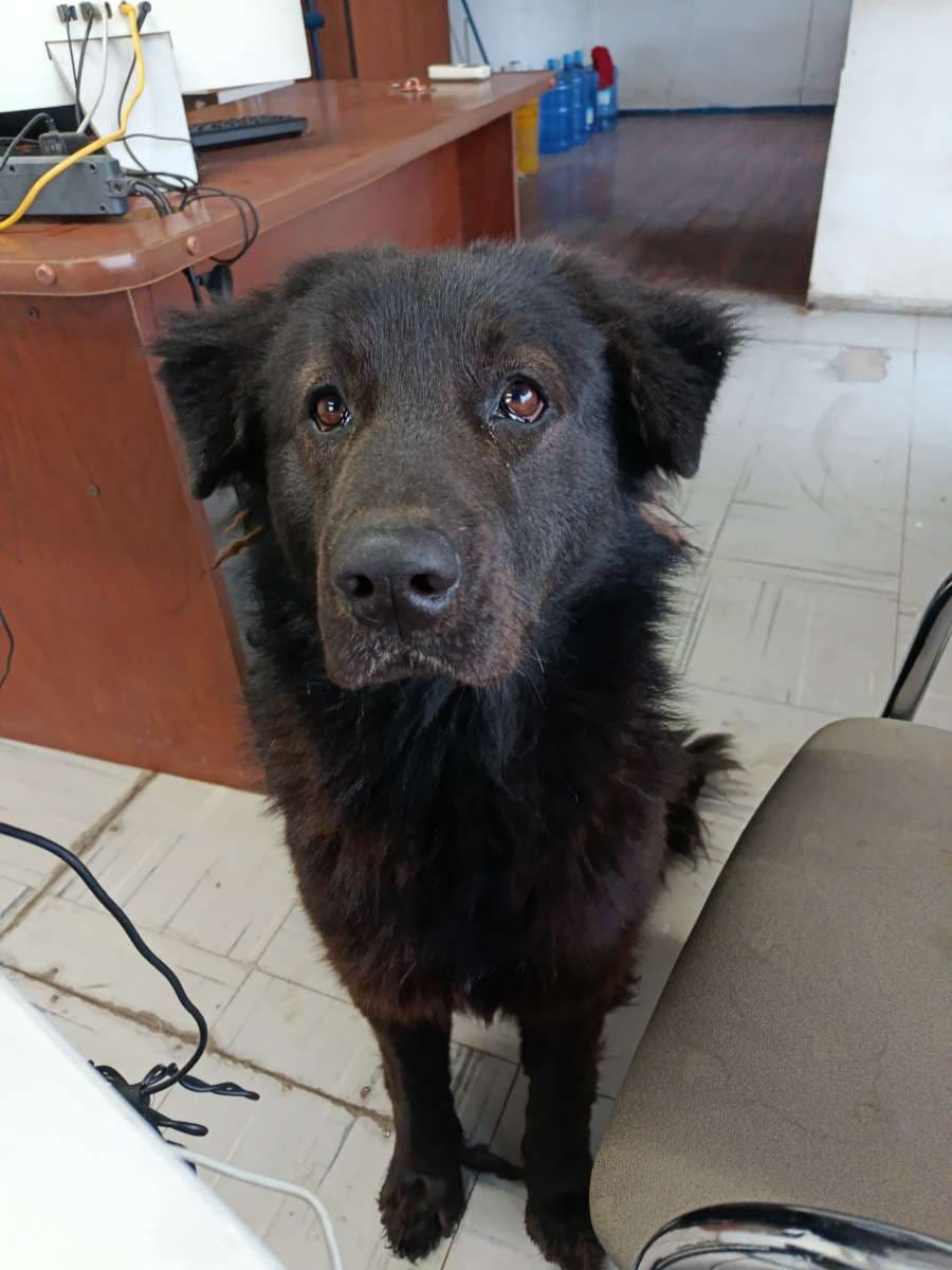 Foto 5