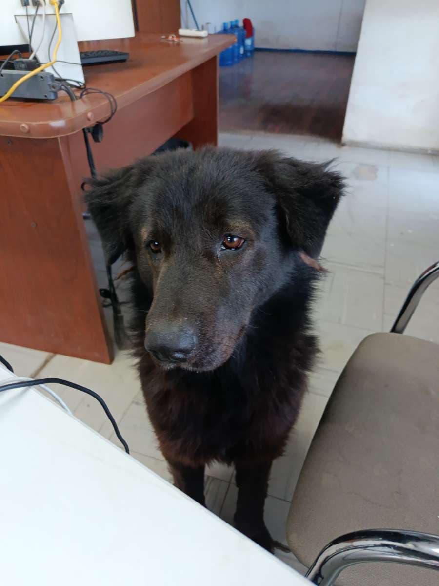 Foto 4
