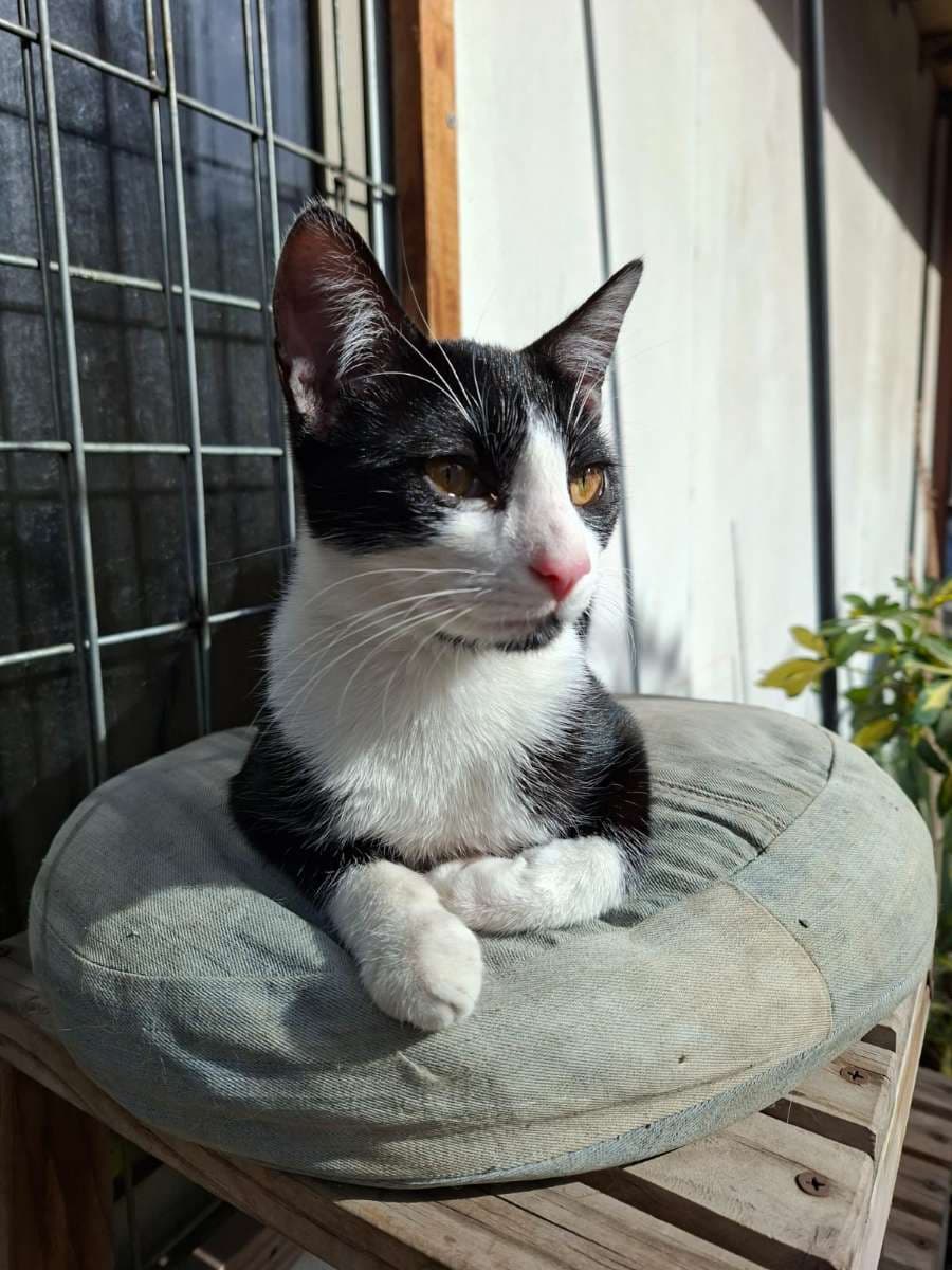 Foto 3