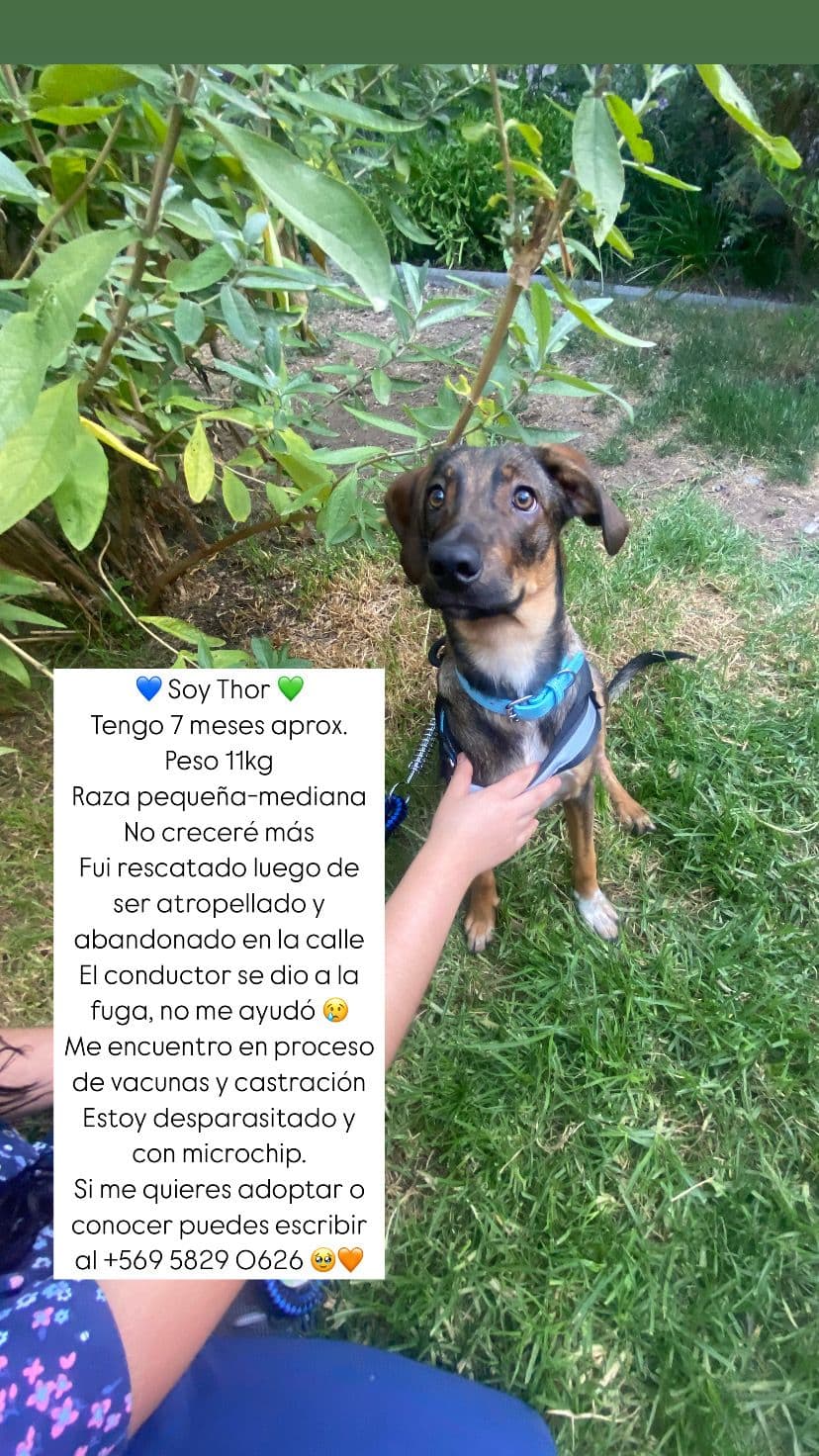 Foto 1