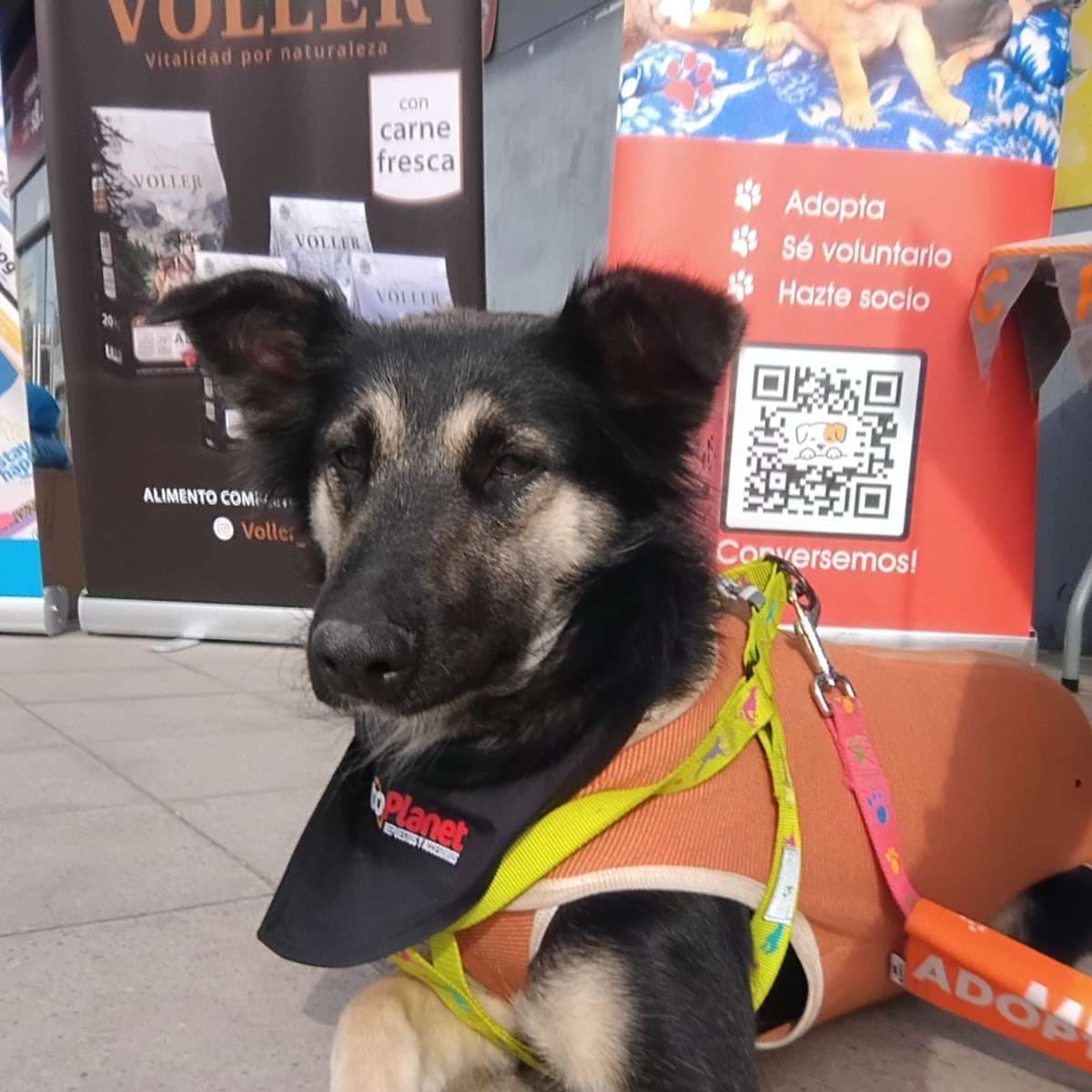 Foto 4