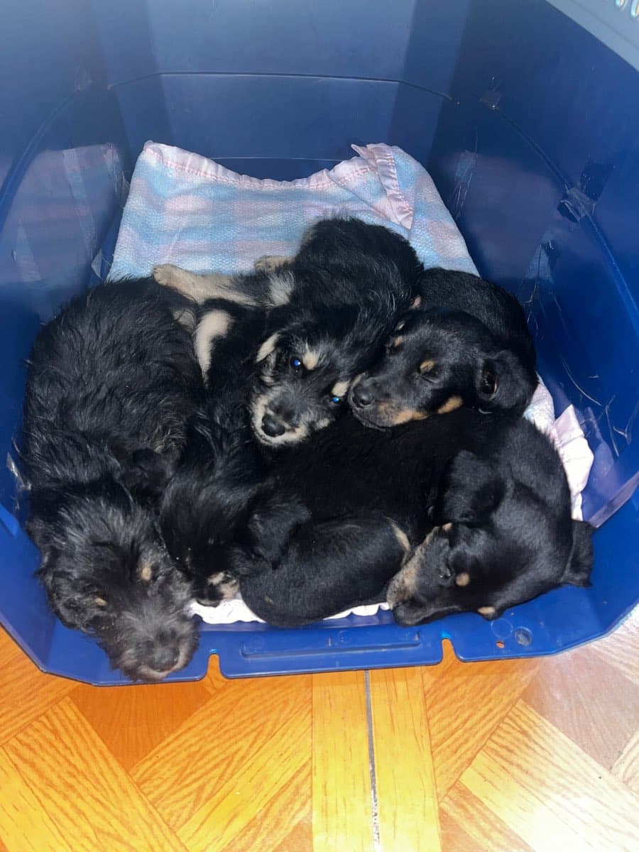 Foto 4