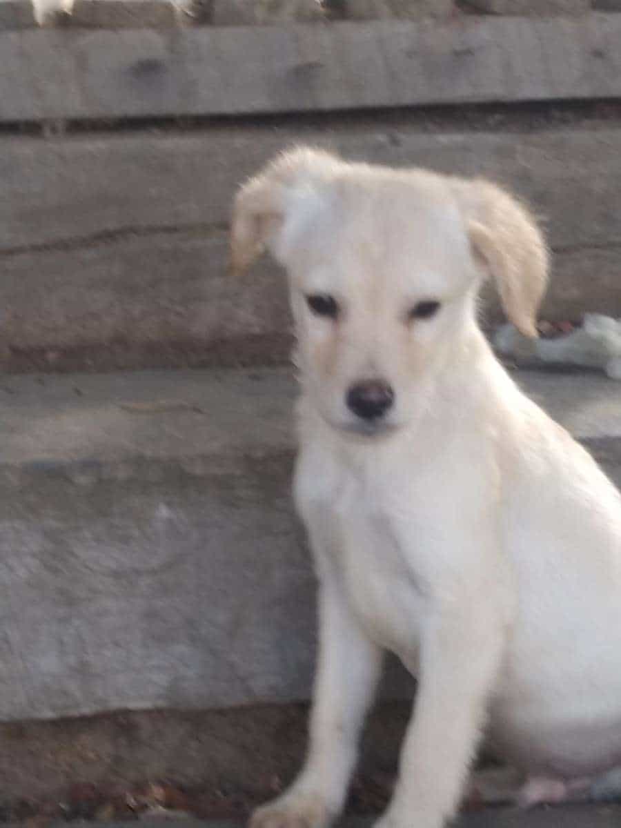 Foto de Félix