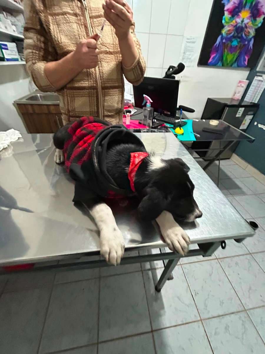 Foto 4