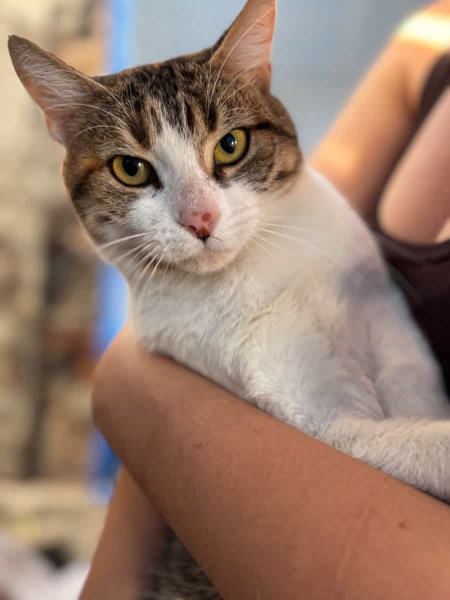 Foto de Manchita