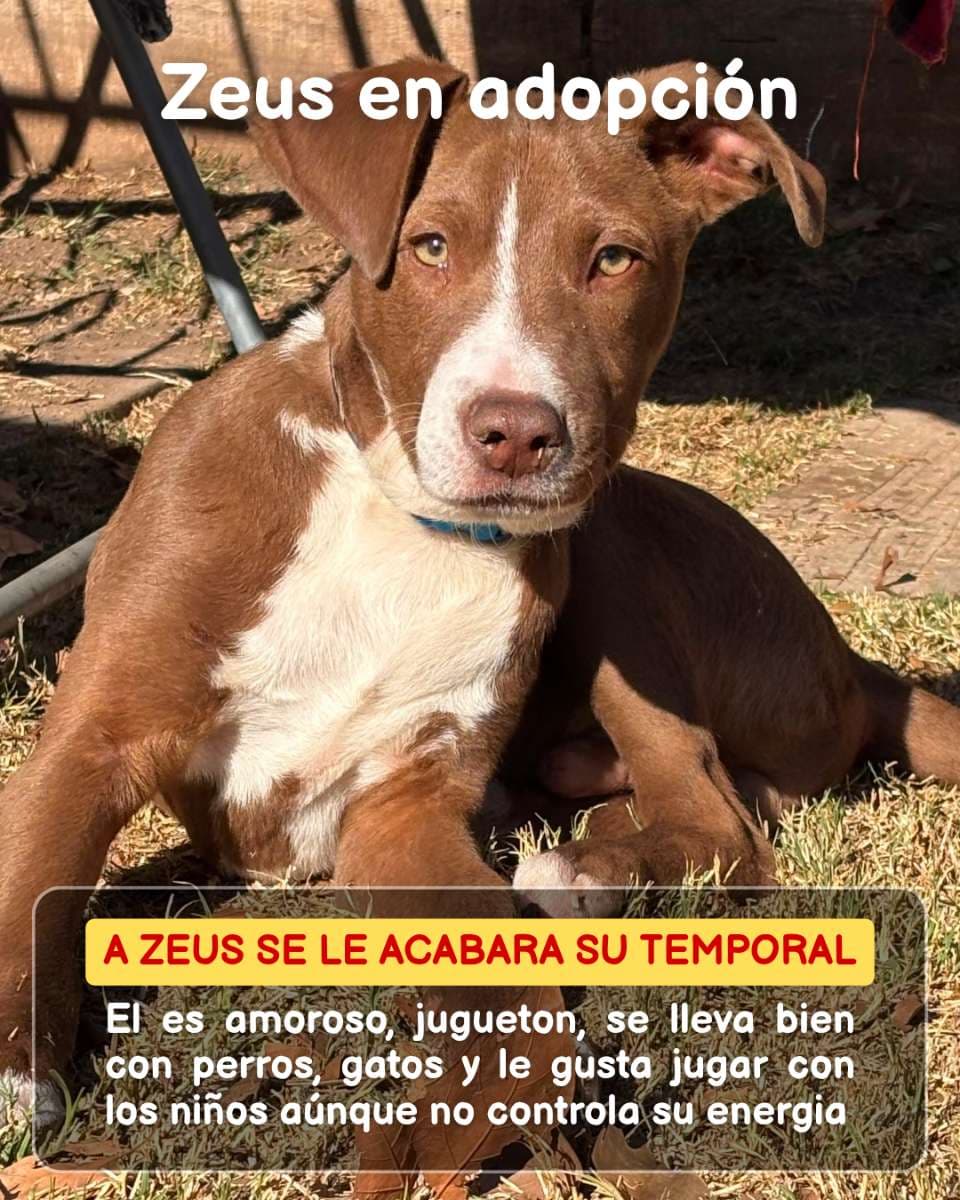 Foto 1