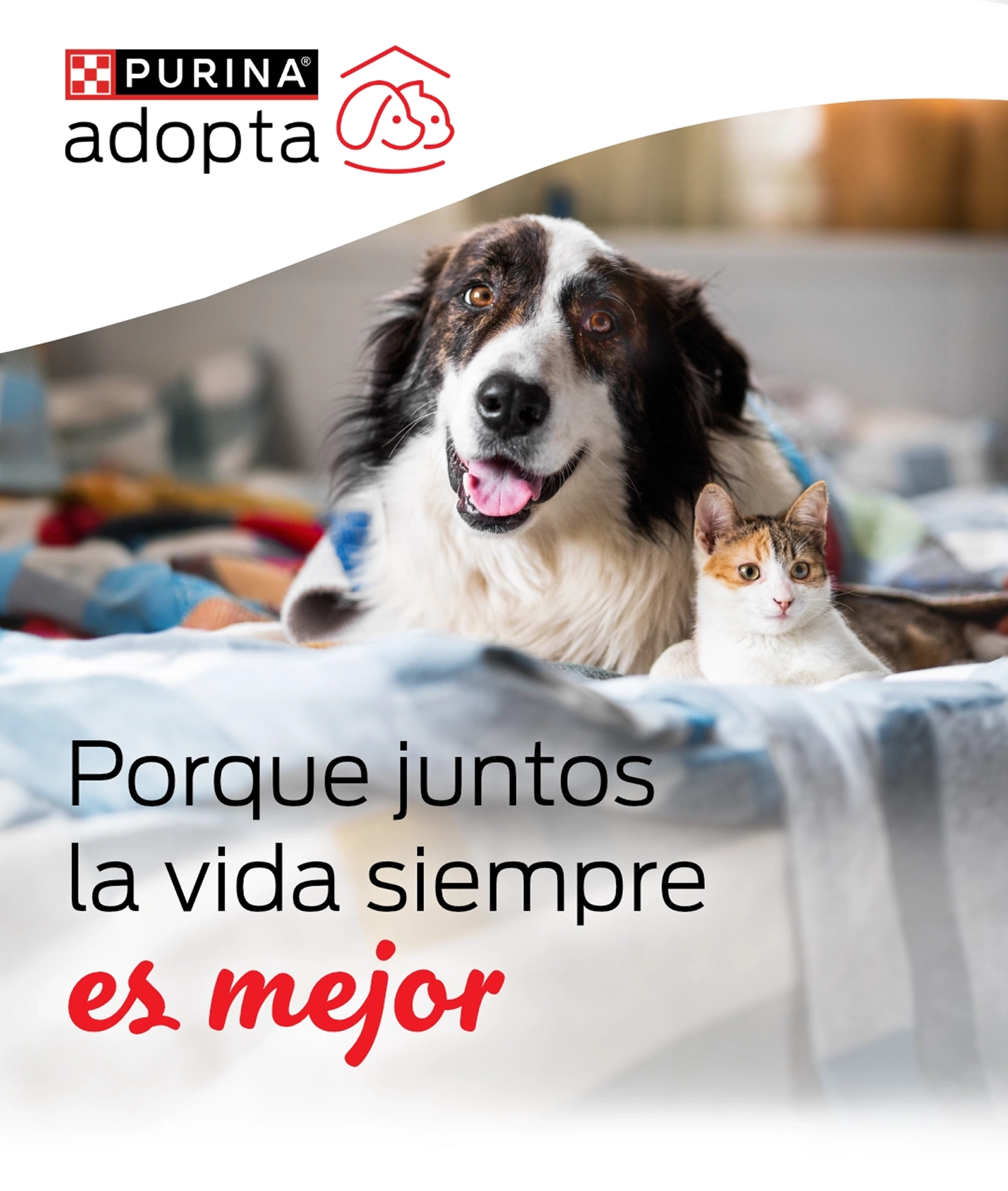 Partner 1